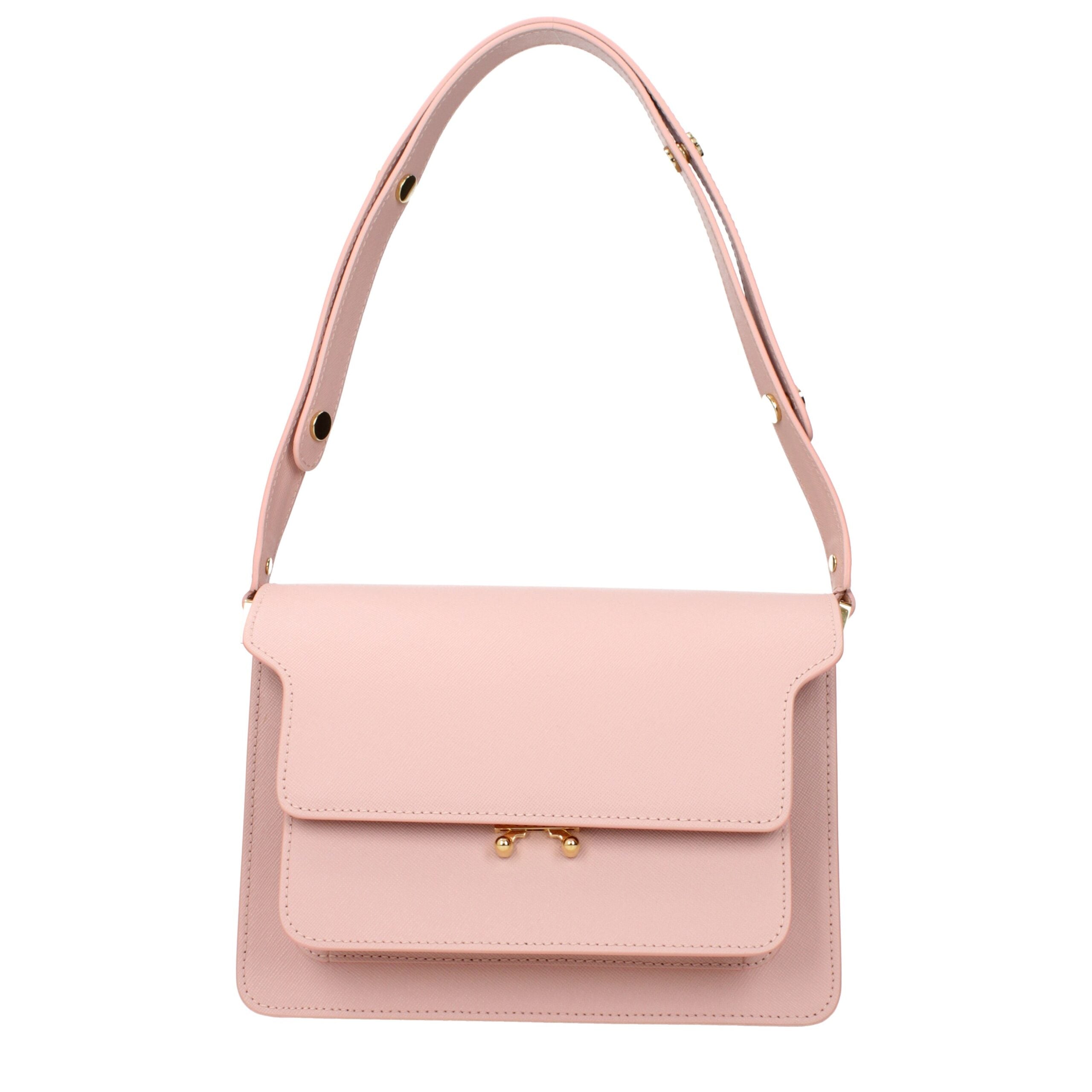 Marni Trunk Bag in smooth pink calfskin with gold hardware and accordion sides.